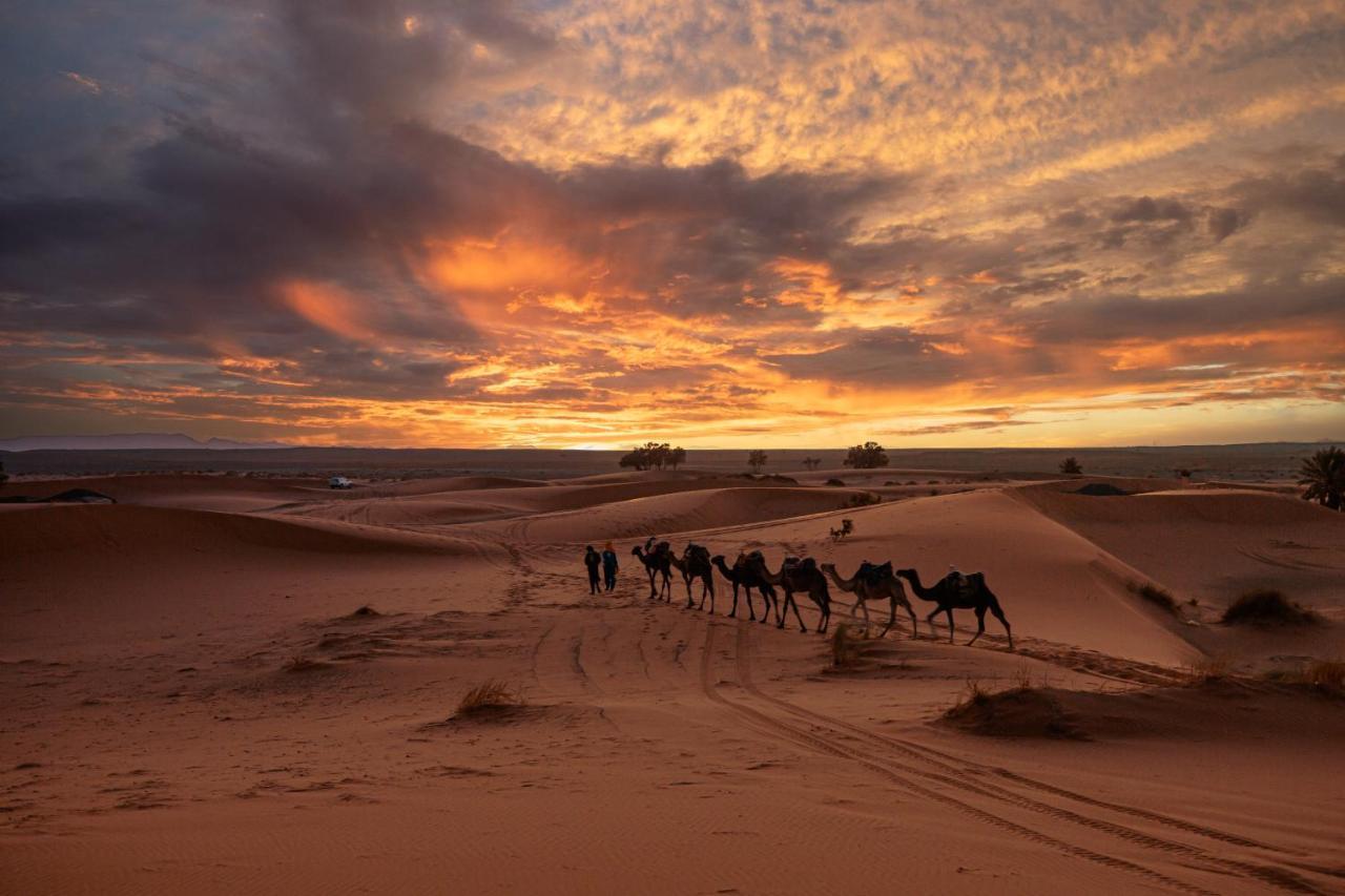 Paradis Du Sahara Merzouga Exteriér fotografie